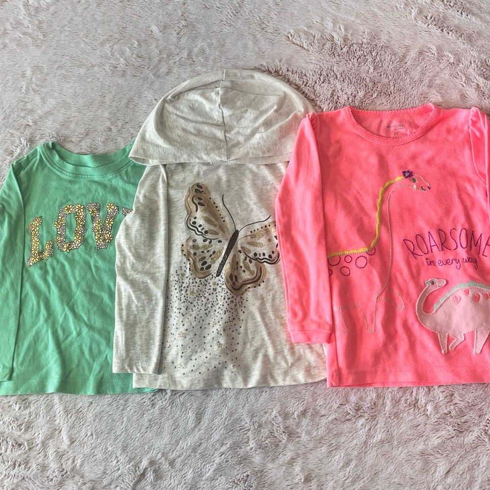 Girls Graphic Long Sleeve Tops Bundle 2T